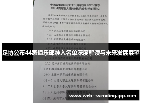 足协公布44家俱乐部准入名单深度解读与未来发展展望