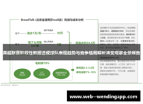 英超联赛阶段性数据透视球队表现趋势与竞争格局解析演变观察全景报告