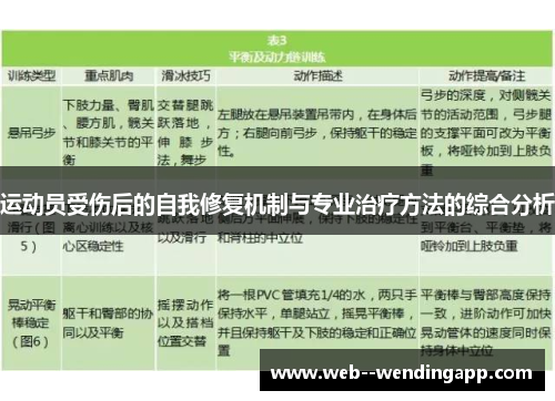运动员受伤后的自我修复机制与专业治疗方法的综合分析