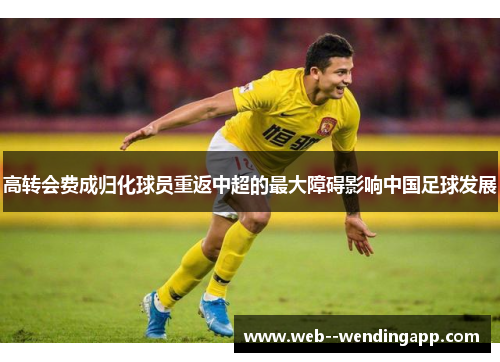高转会费成归化球员重返中超的最大障碍影响中国足球发展