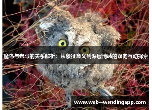 魔鸟与老马的关系解析：从象征意义到深层情感的双向互动探索