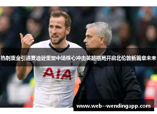 热刺重金引进麦迪逊重塑中场核心冲击英超格局开启北伦敦新篇章未来 热刺重金引进麦迪逊重塑中场核心冲击英超格局开启北伦敦新篇章未来